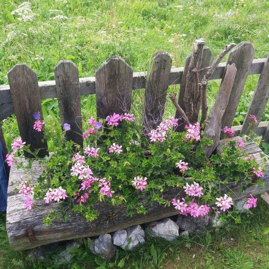 Winklerhof Maranza